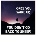 Wake.jpg