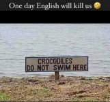 crocodiles-do-not-swim-here.jpg